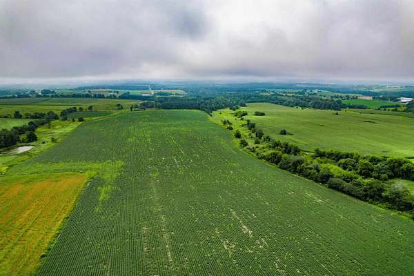 36.8 Acres of Land for Sale in Marathon City, Wisconsin