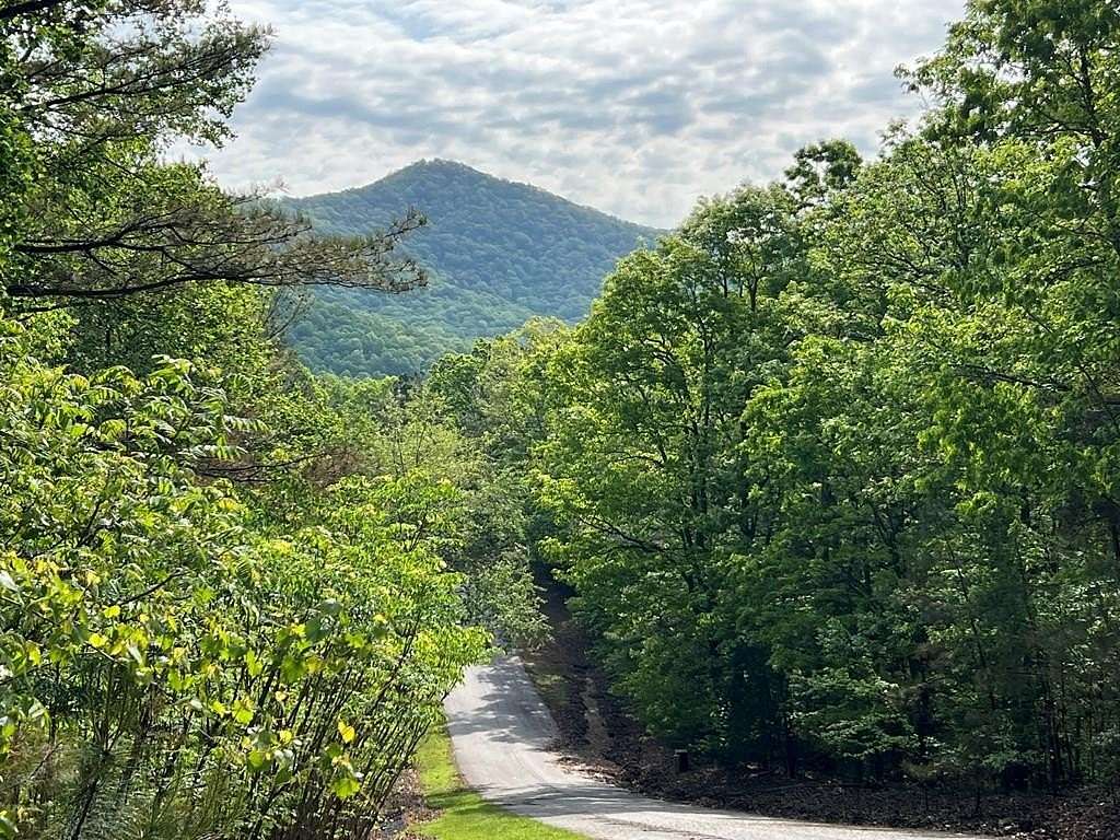 1 Acre of Residential Land for Sale in Blairsville, Georgia