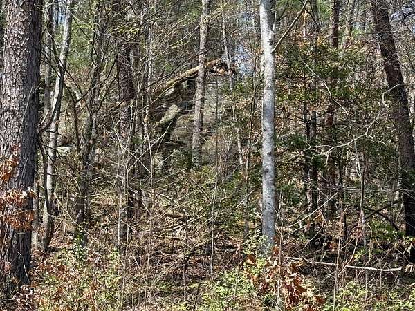 3.1 Acres of Land for Sale in Murphy, North Carolina