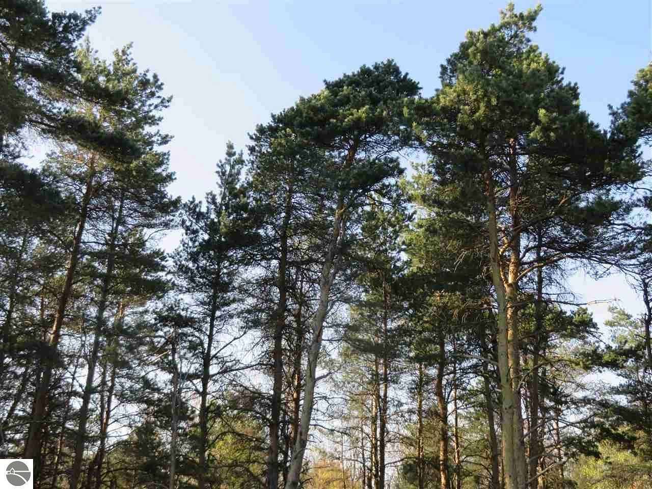 10.5 Acres of Land for Sale in Fife Lake, Michigan