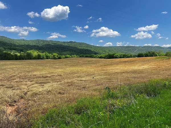 15.5 Acres of Land for Sale in Spencer, Tennessee