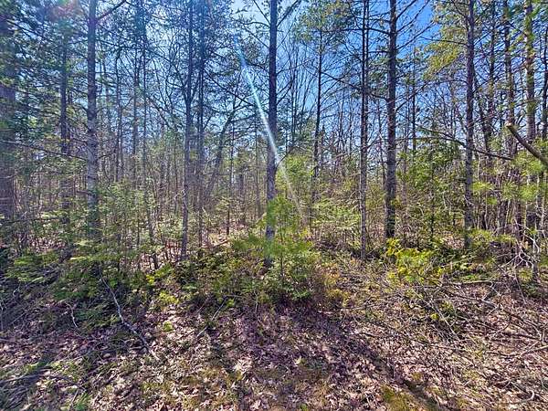 0.46 Acres of Residential Land for Sale in Presque Isle, Michigan