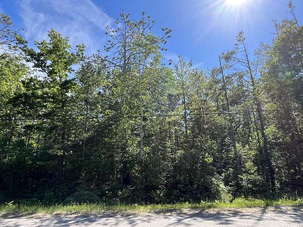 0.46 Acres of Residential Land for Sale in Presque Isle, Michigan