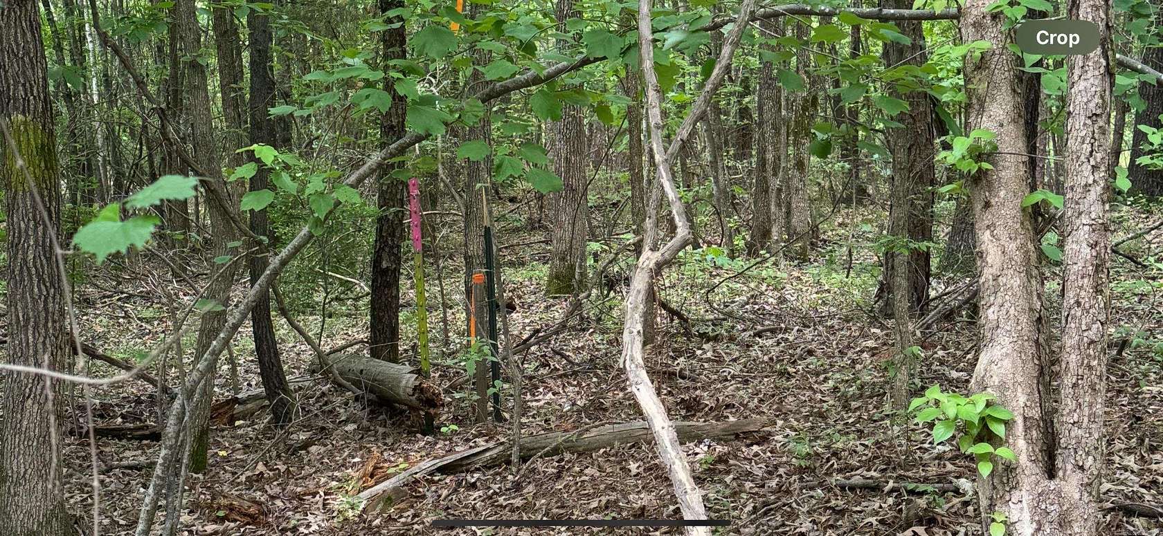 5 Acres of Residential Land for Sale in Maumelle, Arkansas