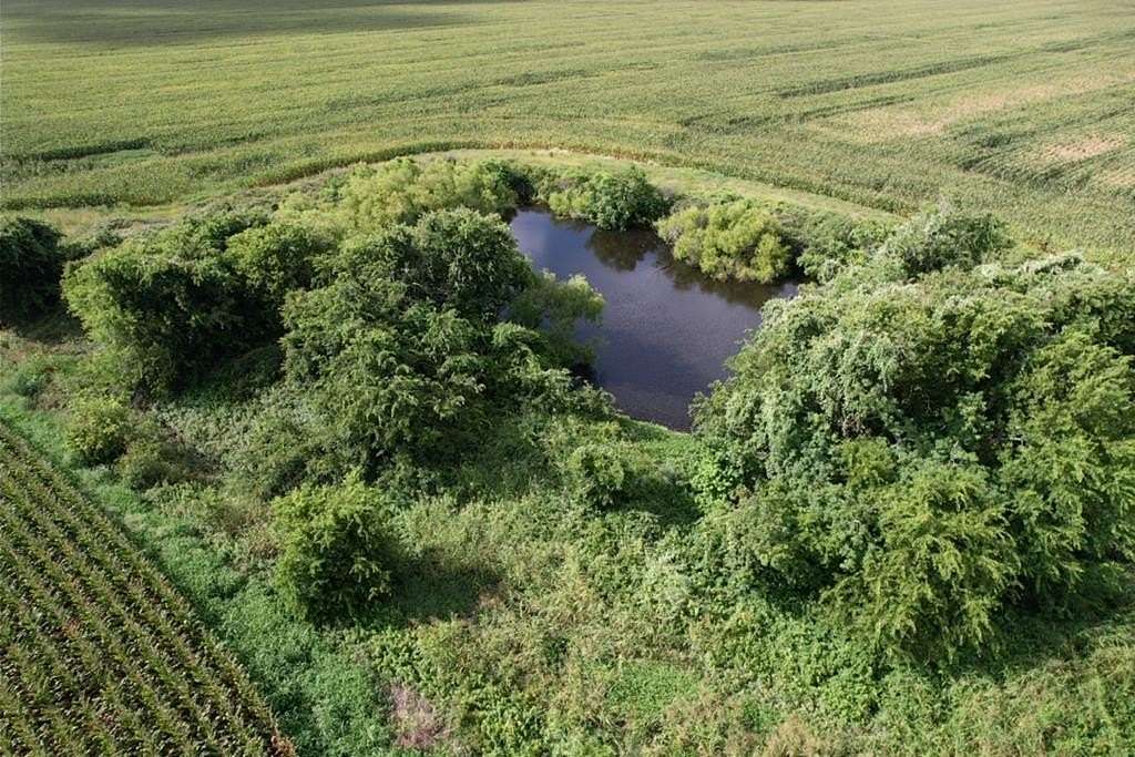 638 Acres of Agricultural Land for Sale in Palacios, Texas