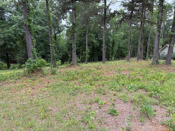 Residential Land for Sale in Abbeville, Alabama