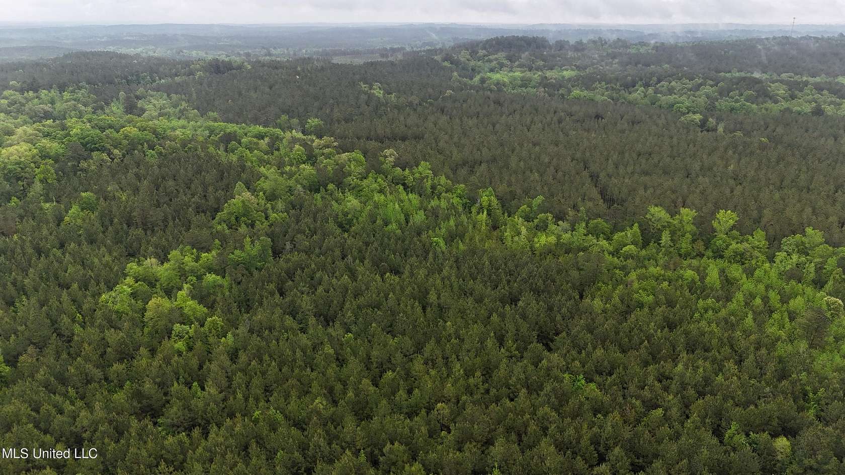 160 Acres of Recreational Land for Sale in Lauderdale, Mississippi