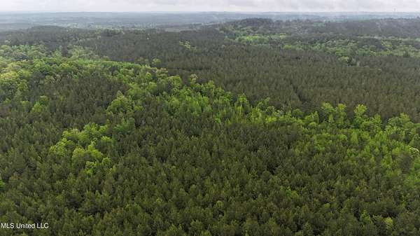 160 Acres of Recreational Land for Sale in Lauderdale, Mississippi