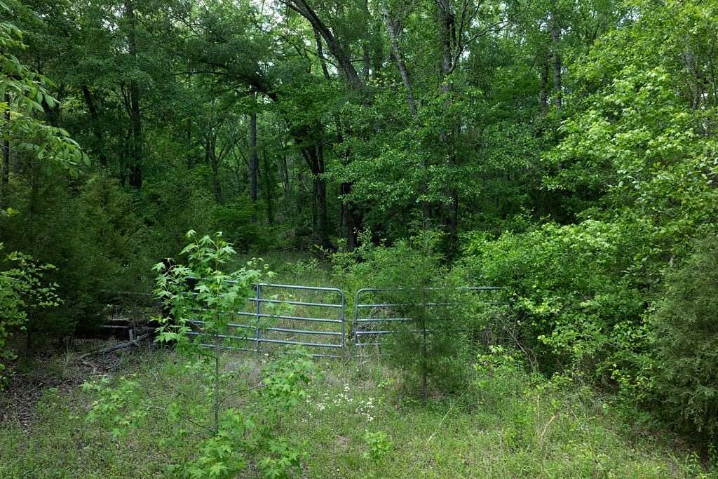 21.7 Acres of Recreational Land for Sale in Athens, Texas