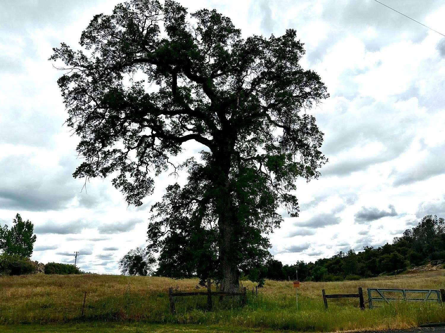 2.53 Acres of Residential Land for Sale in Coarsegold, California