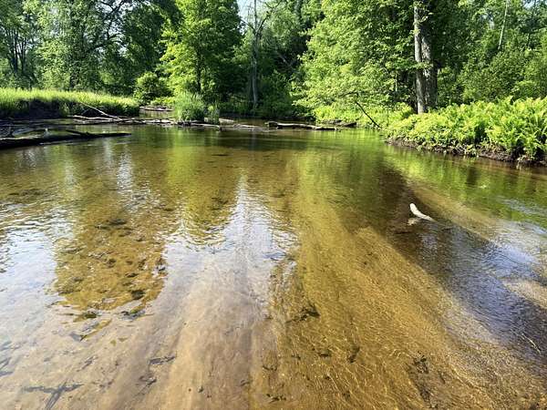 16.7 Acres of Recreational Land for Sale in Marion, Michigan