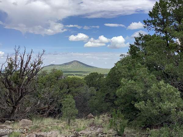 7 Acres of Residential Land for Sale in Vernon, Arizona