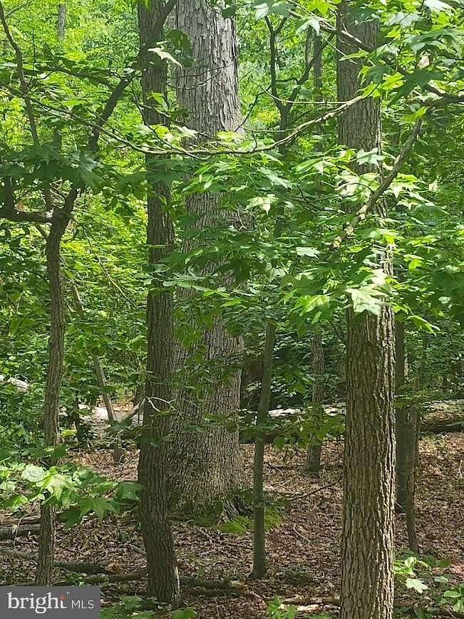 0.28 Acres of Residential Land for Sale in North Beach, Maryland