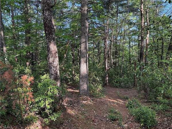 11.8 Acres of Recreational & Residential Land for Sale in Purlear, North Carolina
