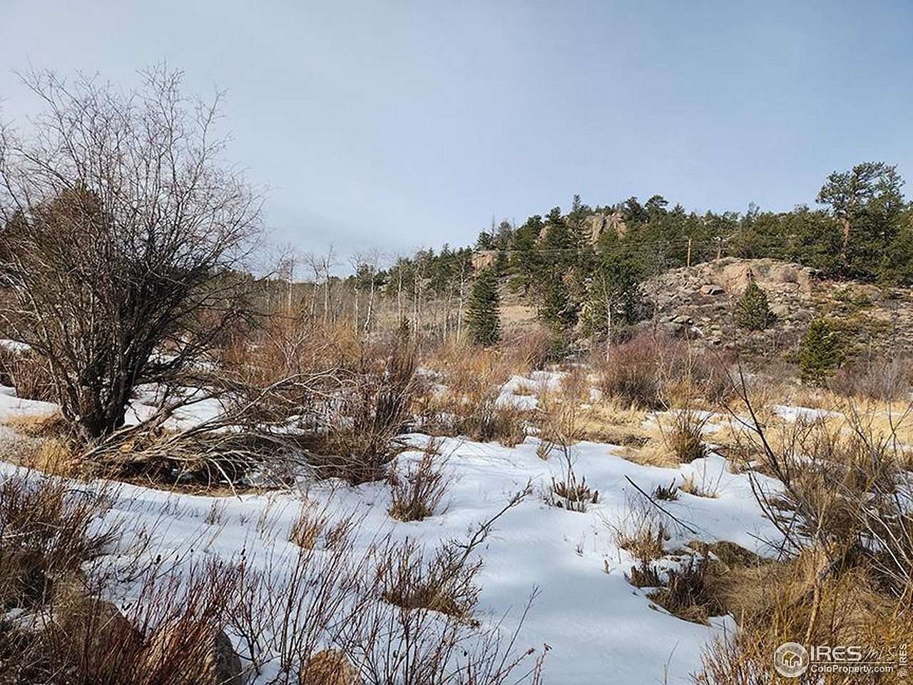 1.33 Acres of Land for Sale in Red Feather Lakes, Colorado