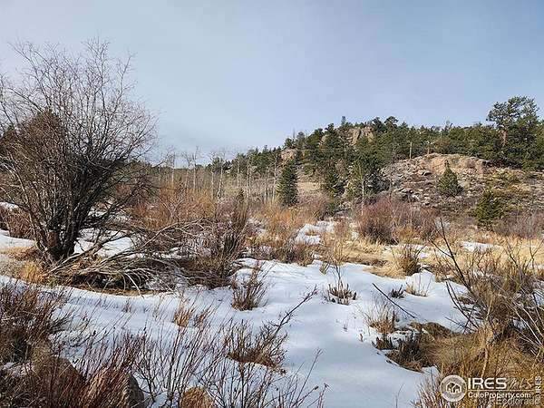 1.33 Acres of Land for Sale in Red Feather Lakes, Colorado