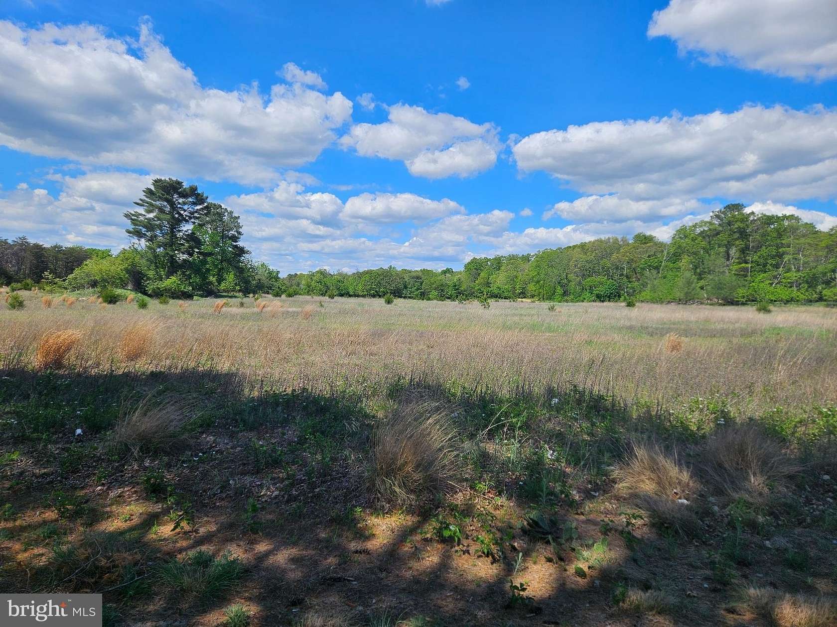 17 Acres of Land for Sale in Vineland, New Jersey