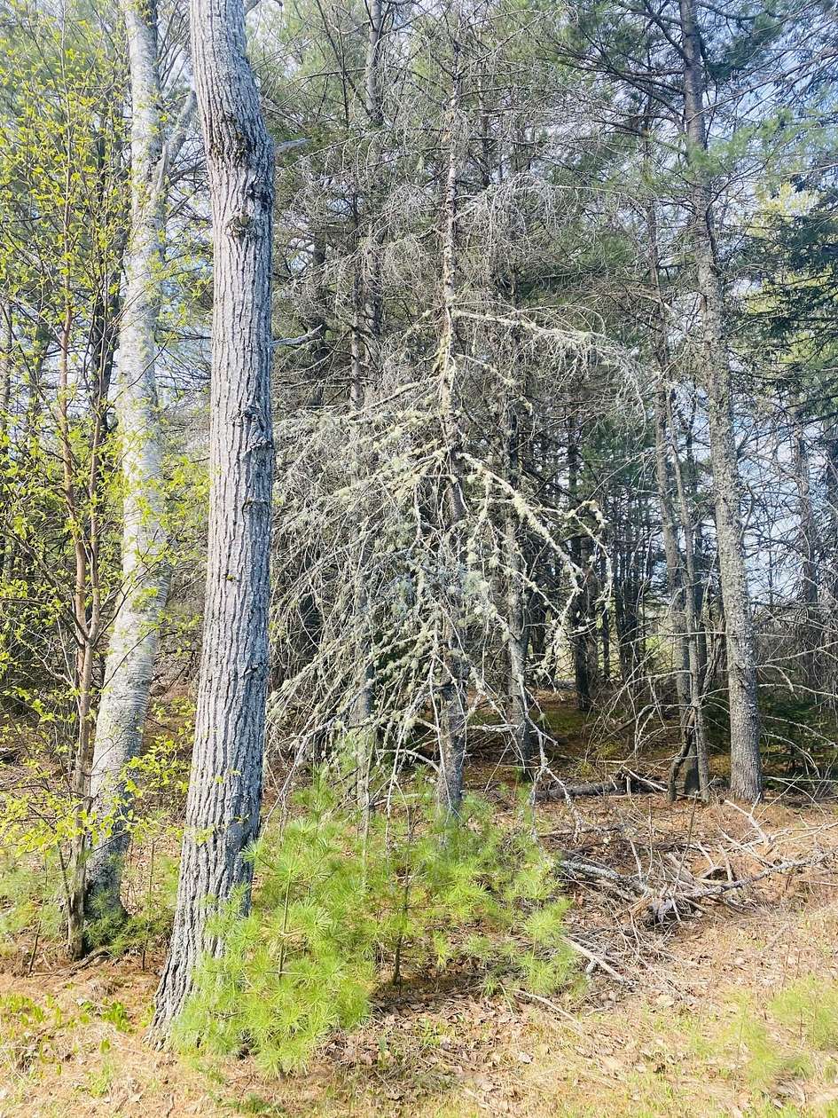 2.7 Acres of Residential Land for Sale in Bangor, Maine
