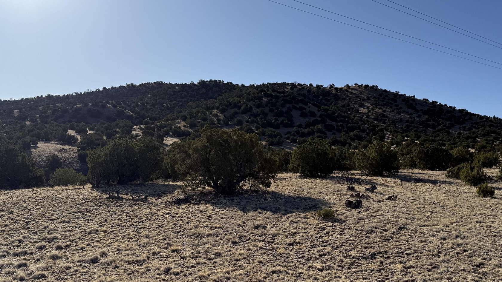 140 Acres of Land for Sale in Magdalena, New Mexico