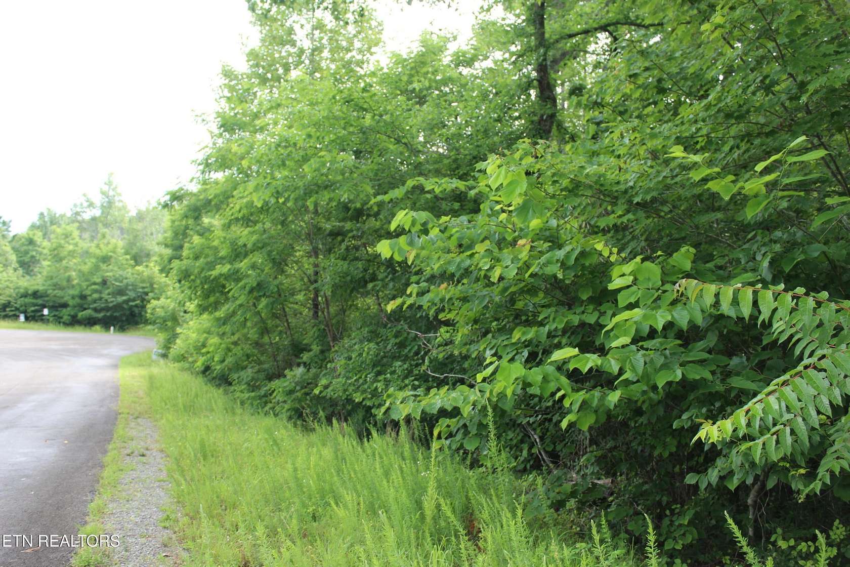 0.86 Acres of Residential Land for Sale in New Tazewell, Tennessee