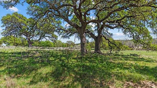 2 Acres of Residential Land for Sale in Blanco, Texas