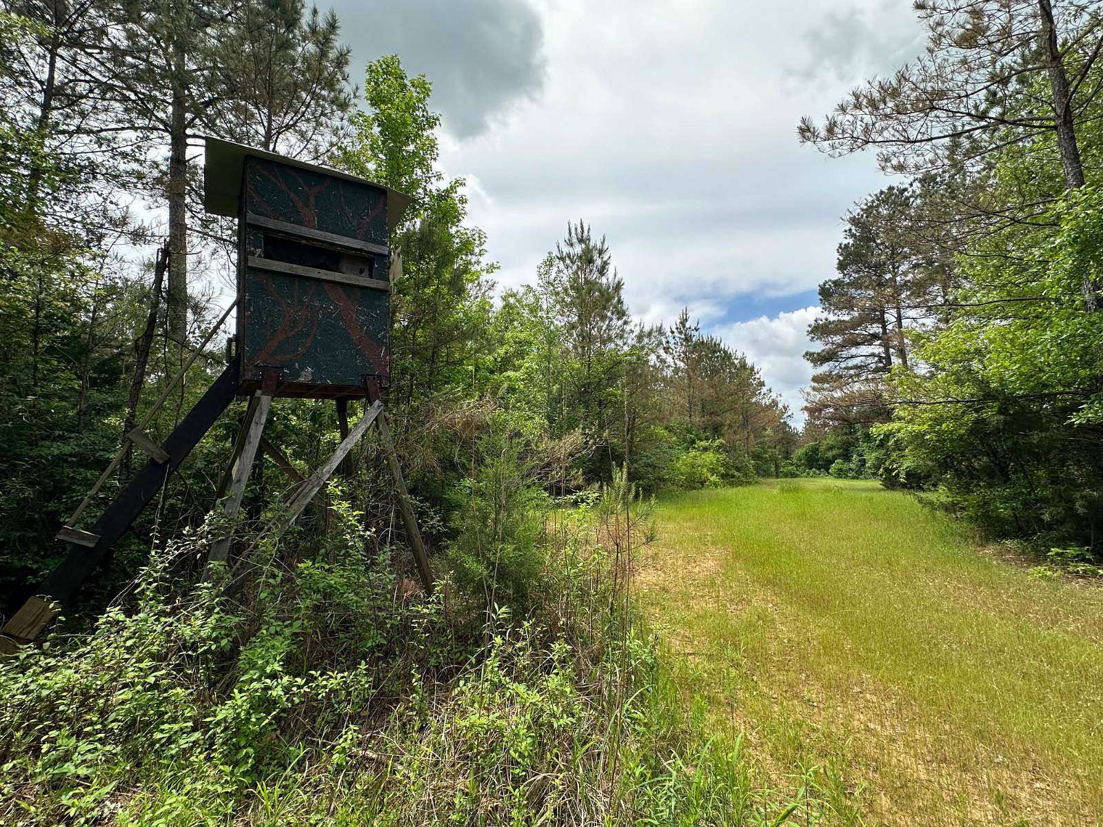 158 Acres of Recreational Land for Sale in West, Mississippi