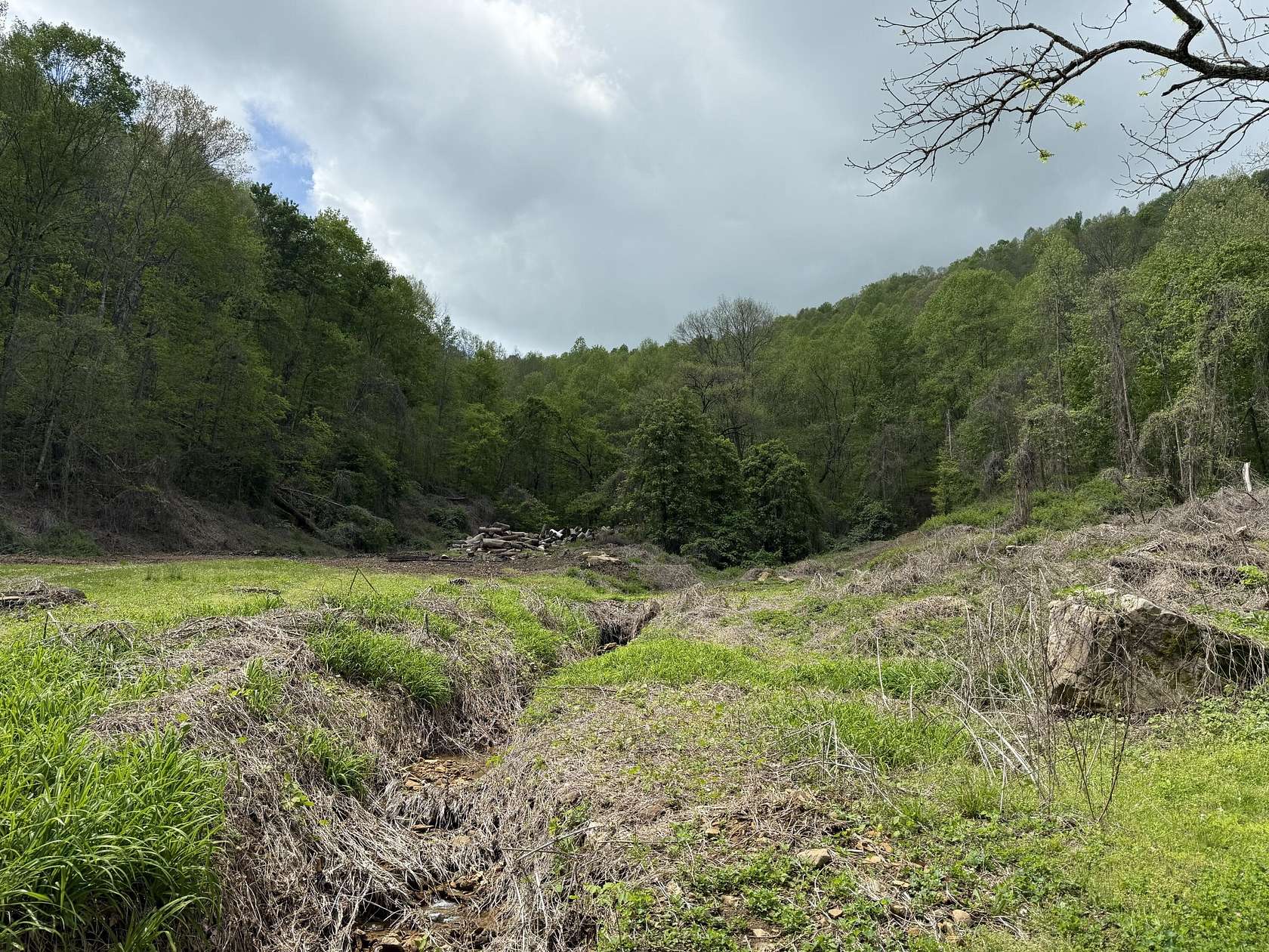 198 Acres of Recreational Land for Sale in Walker, Kentucky
