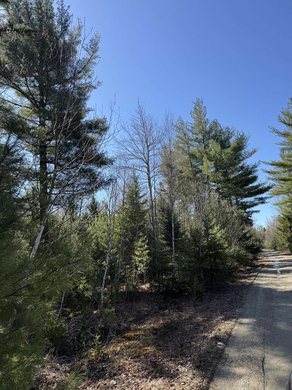 8 Acres of Residential Land for Sale in Blue Hill, Maine