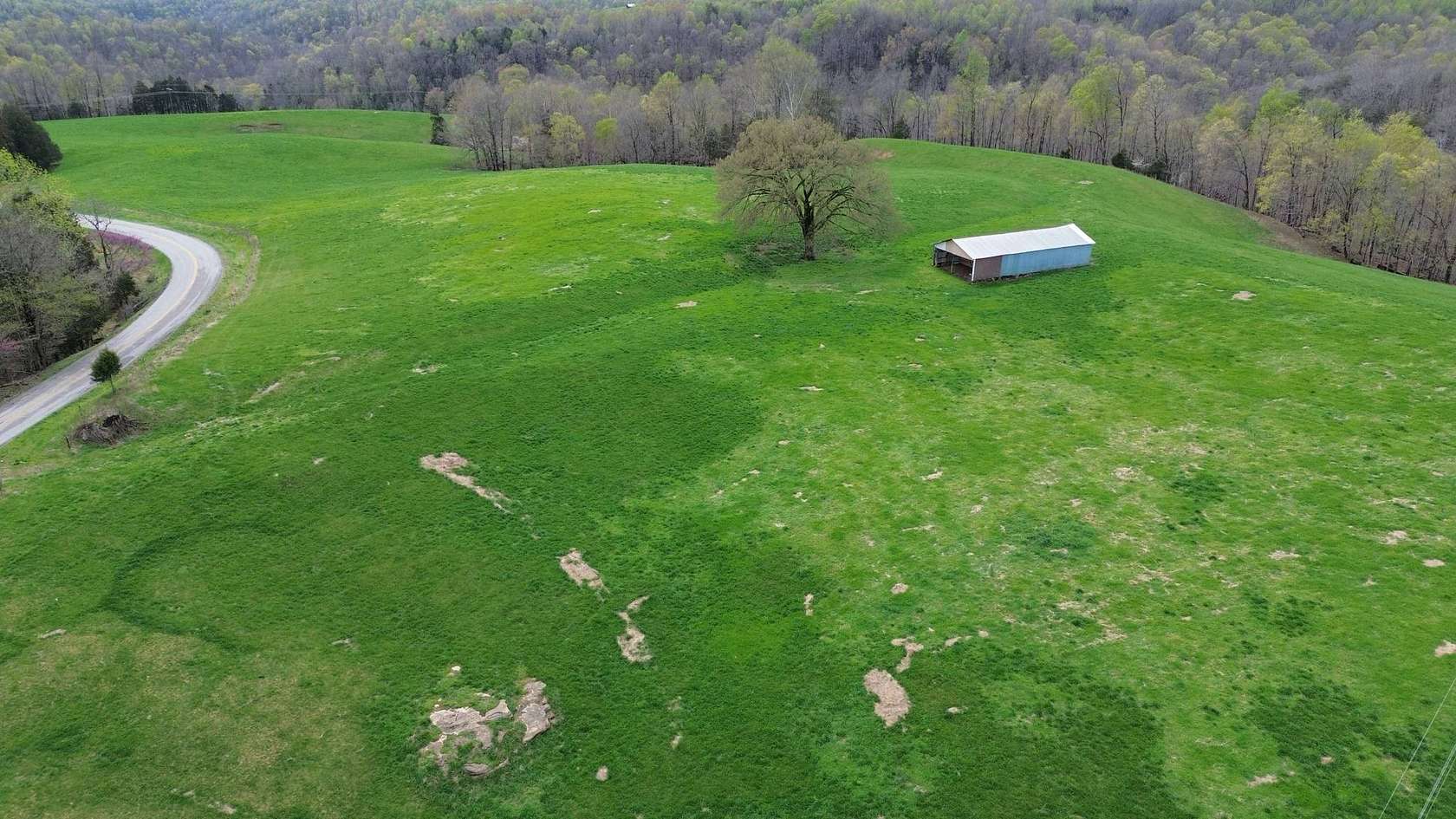33.5 Acres of Land for Sale in Albany, Kentucky