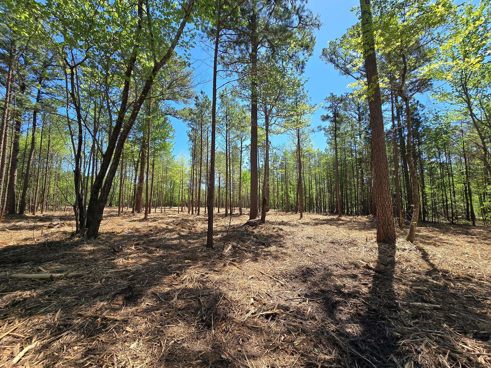 8.7 Acres of Land for Sale in Big Cedar, Oklahoma