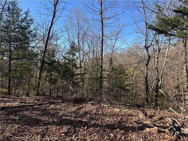 7.87 Acres of Agricultural Land for Sale in Jasper, Arkansas