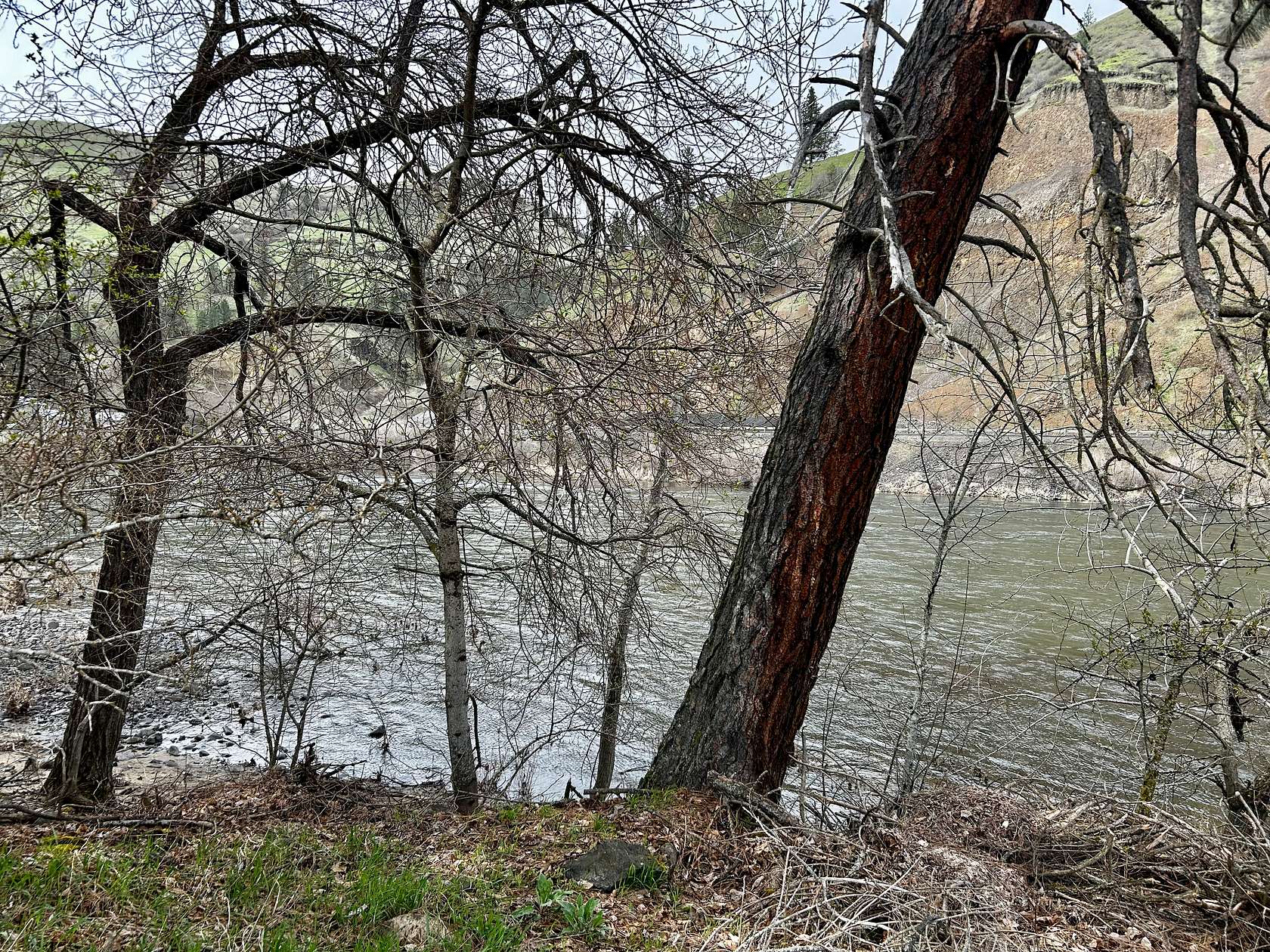 0.56 Acres of Land for Sale in Kooskia, Idaho