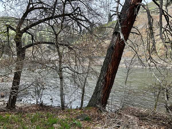 0.56 Acres of Land for Sale in Kooskia, Idaho