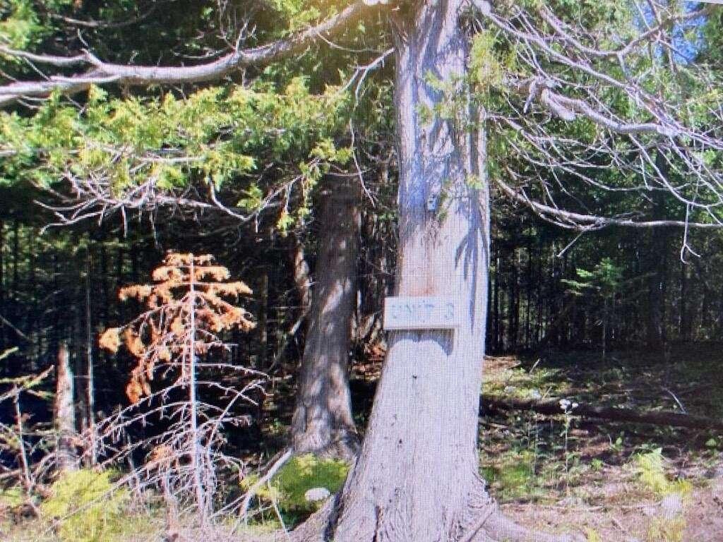 0.46 Acres of Land for Sale in Drummond, Michigan