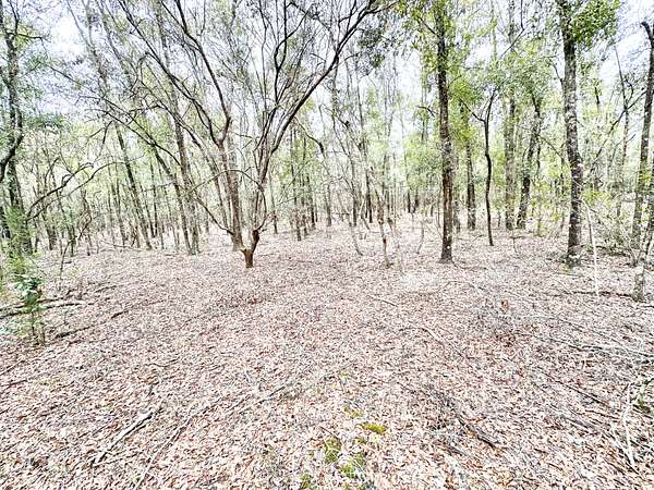 0.58 Acres of Residential Land for Sale in Mayo, Florida