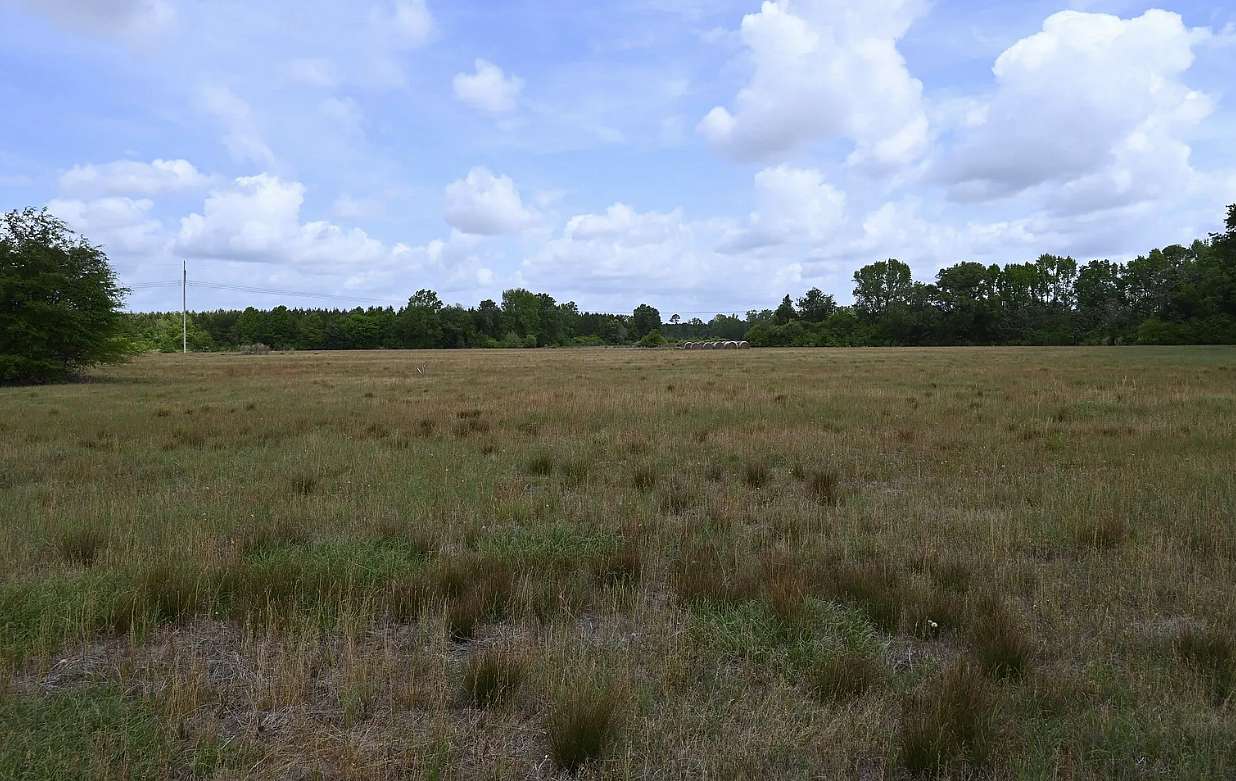 22 Acres of Agricultural Land for Sale in Hartsville, South Carolina