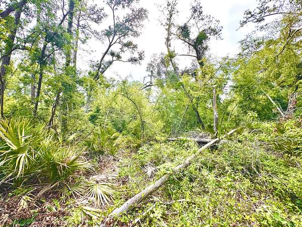 1.68 Acres of Residential Land for Sale in Mayo, Florida