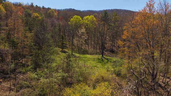173 Acres of Land for Auction in Bland, Virginia