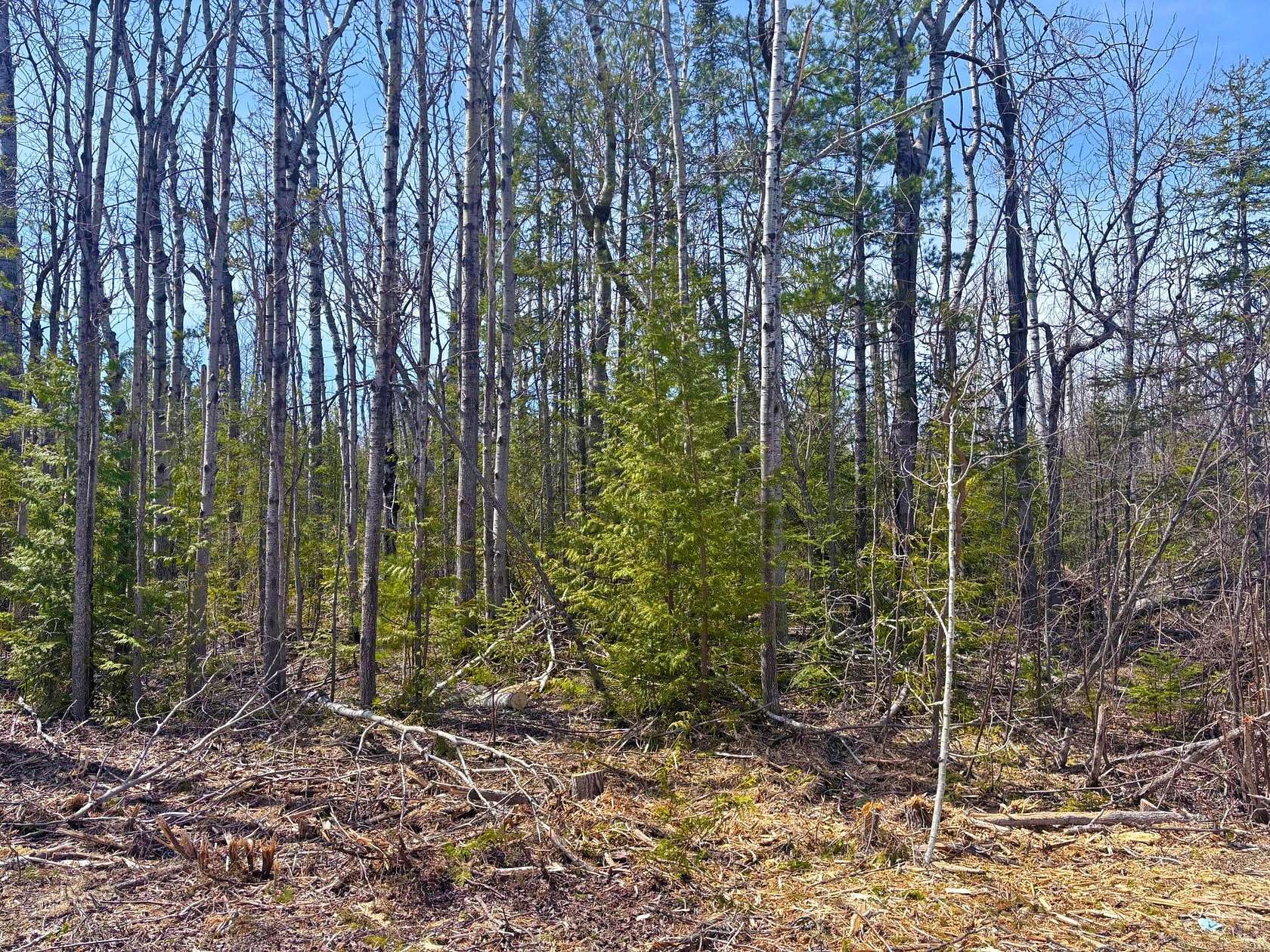0.46 Acres of Residential Land for Sale in Presque Isle, Michigan