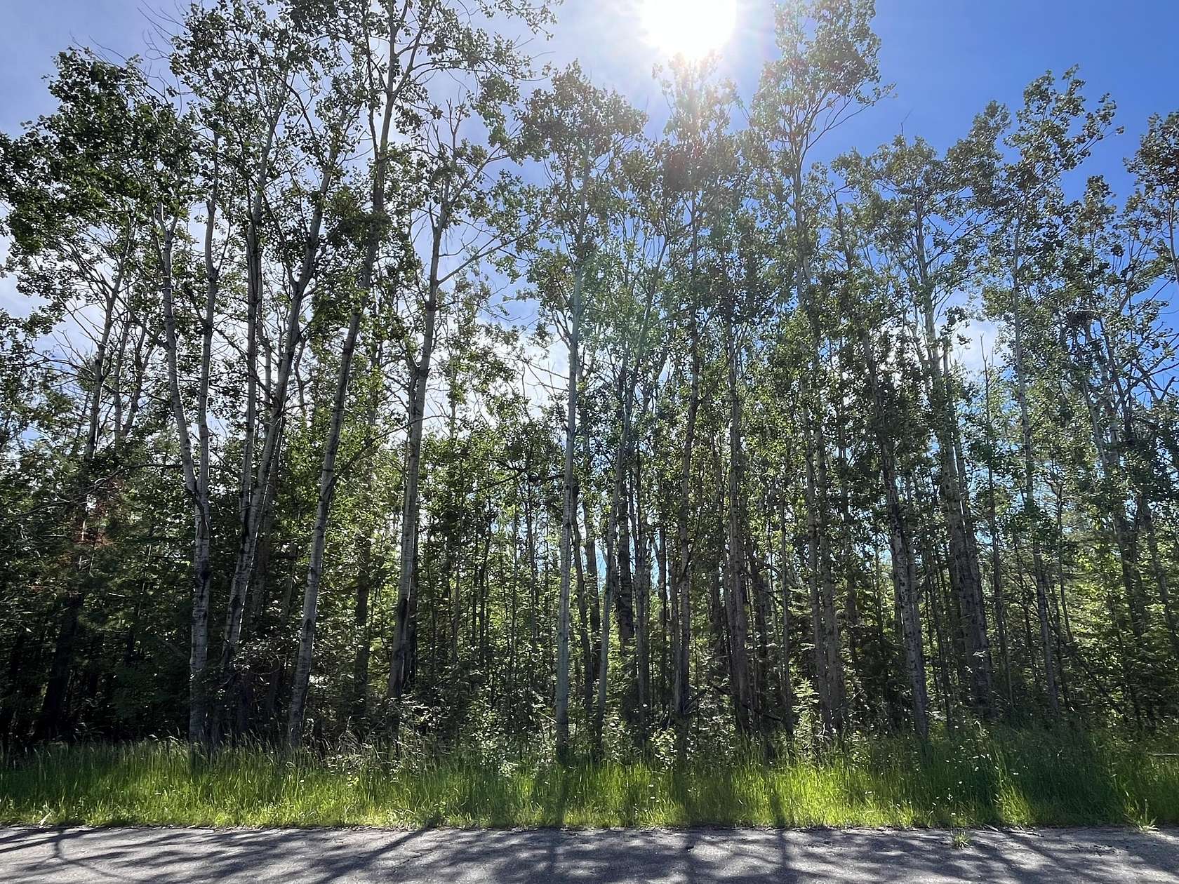 0.46 Acres of Residential Land for Sale in Presque Isle, Michigan