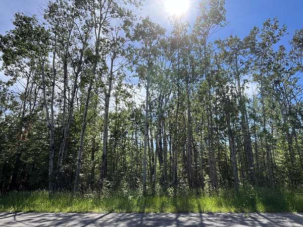 0.46 Acres of Residential Land for Sale in Presque Isle, Michigan