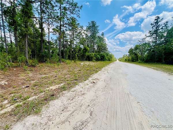 1 Acre of Residential Land for Sale in Williston, Florida