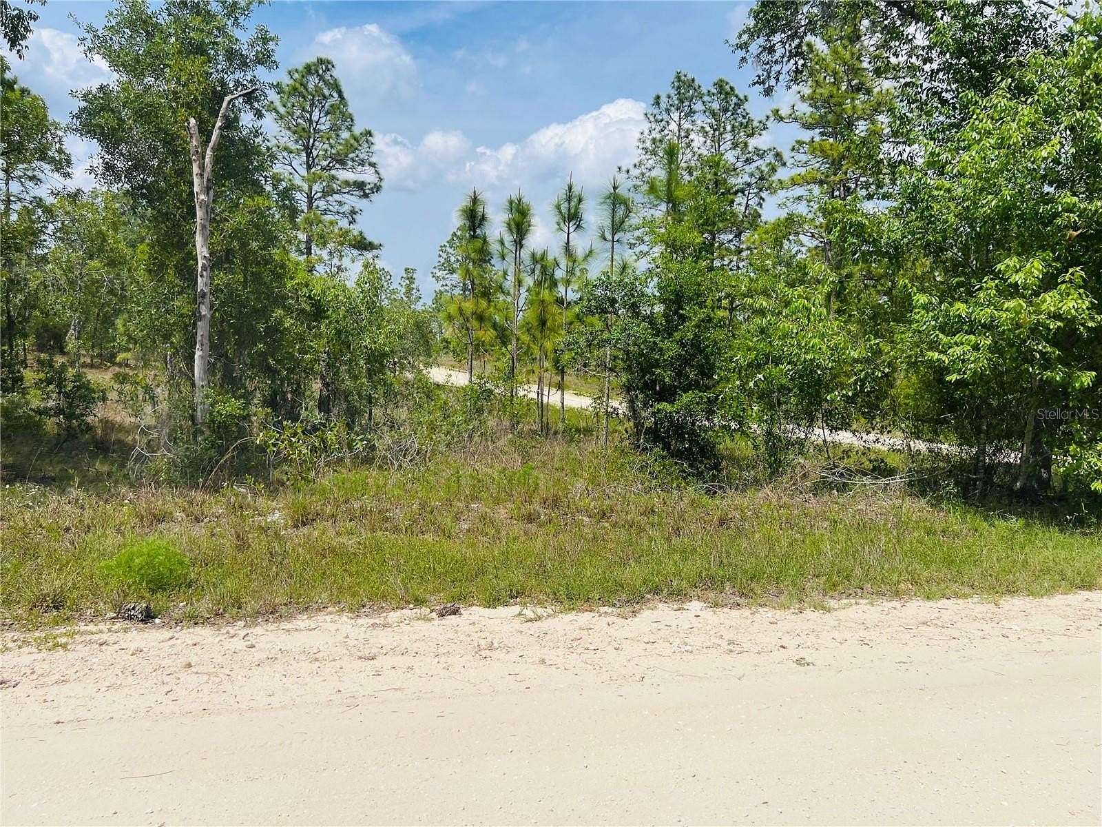 1 Acre of Residential Land for Sale in Williston, Florida