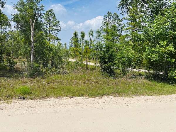 1 Acre of Residential Land for Sale in Williston, Florida