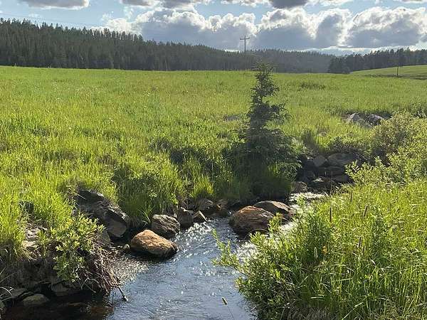 129 Acres of Agricultural Land for Sale in Lead, South Dakota