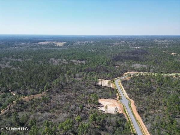 40 Acres of Recreational & Residential Land for Sale in Kiln, Mississippi