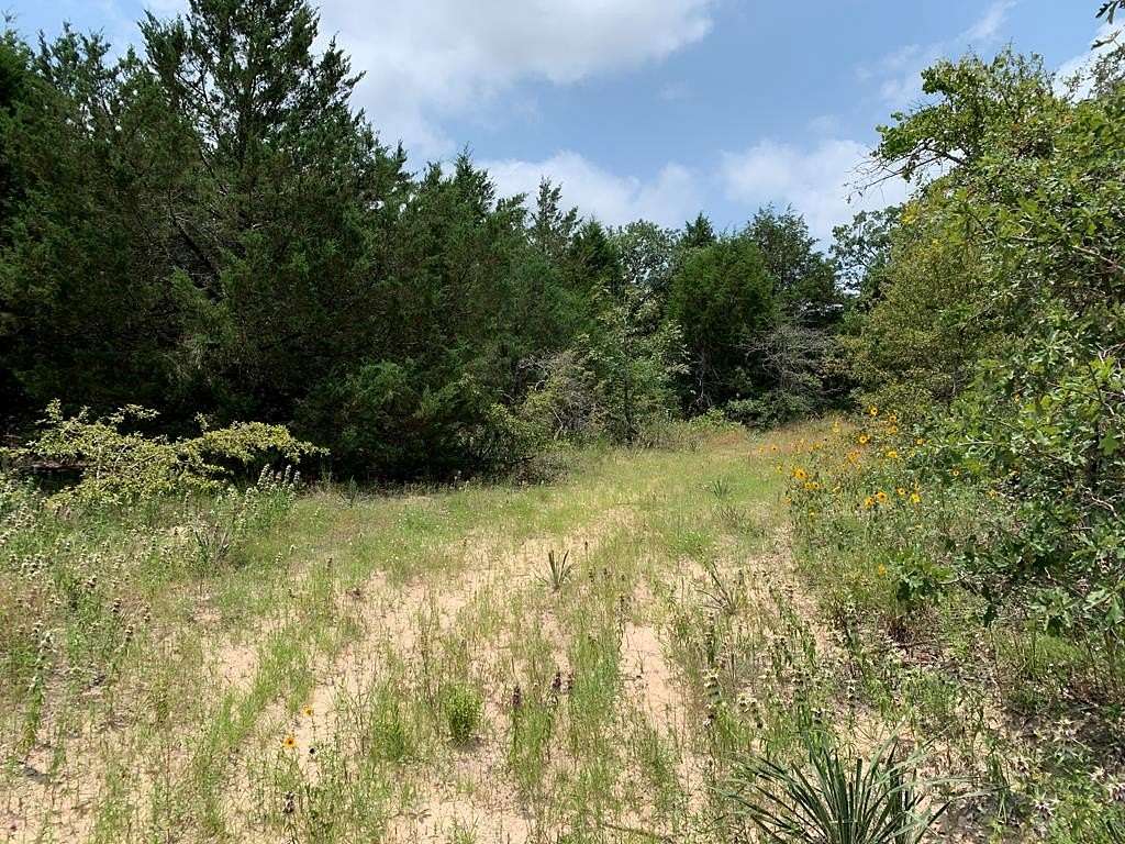 45.7 Acres of Recreational & Residential Land for Sale in Athens, Texas
