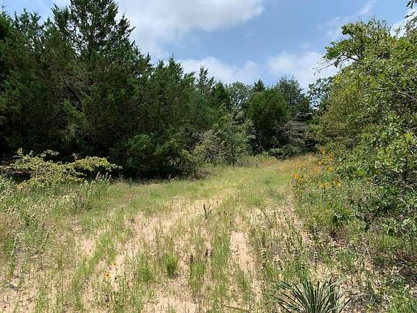 45.7 Acres of Recreational Land for Sale in Athens, Texas