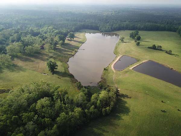 77 Acres of Improved Land for Sale in Camden, Alabama