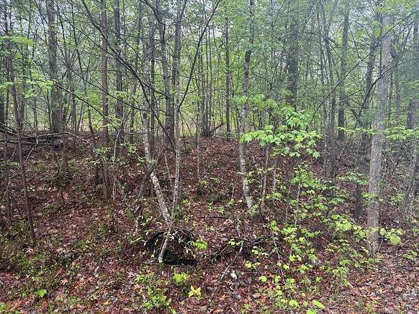 5.1 Acres of Residential Land for Sale in Crossville, Tennessee